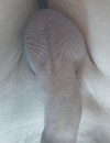 Фотография №3711040