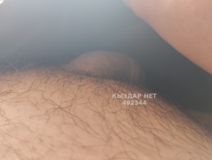 Жиголо Кокшетау Парень№492344 Нурлан Фотография №3712924
